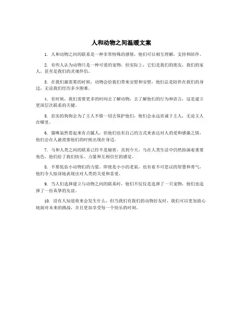 人和动物之间温暖文案