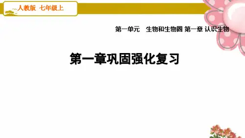 人教版七年级生物上册第一章巩固强化复习