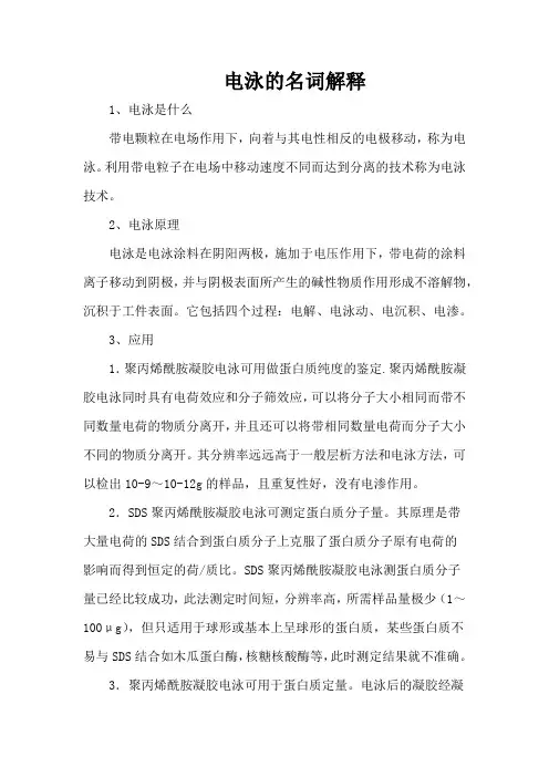 电泳的名词解释