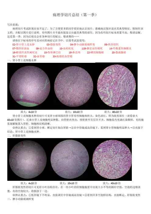病理学切片总结第一季