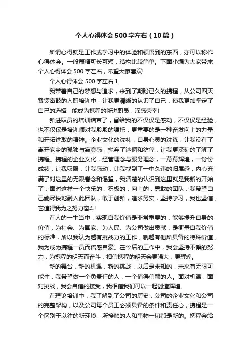 个人心得体会500字左右（10篇）