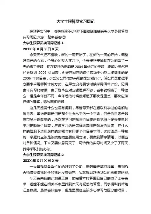 大学生预算员实习周记
