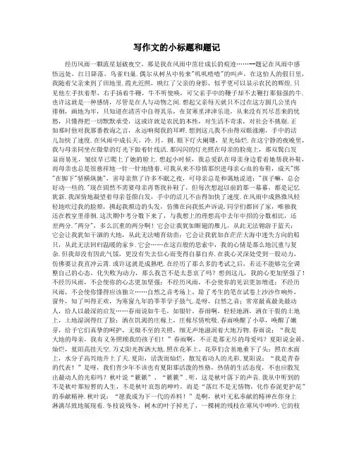 写作文的小标题和题记