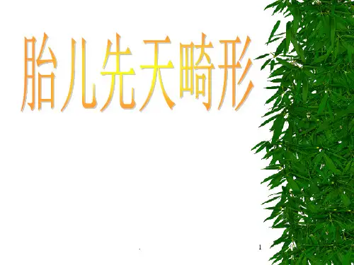 《胎儿先天性畸形讲》PPT课件