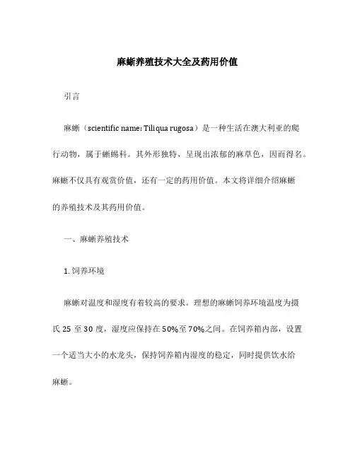 麻蜥养殖技术大全及药用价值