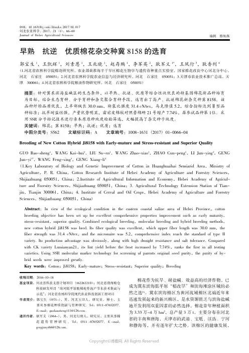 13933414_早熟抗逆优质棉花杂交种冀8158的选育