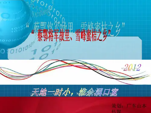洞口群星演唱会方案