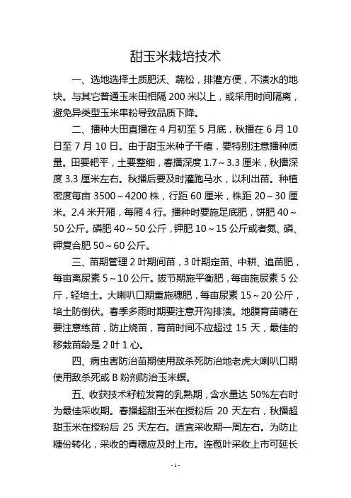 甜玉米栽培技术