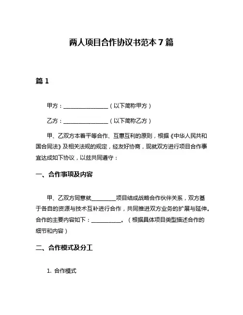 两人项目合作协议书范本7篇