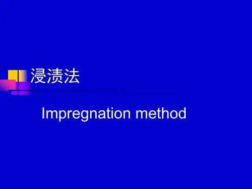 浸渍法_精品文档
