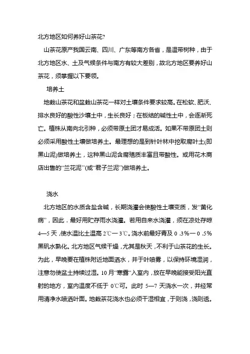 北方地区如何养好山茶花