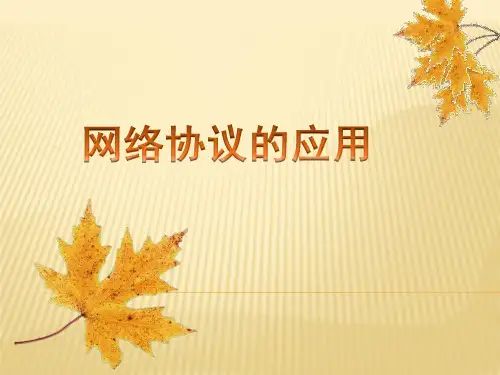 网络协议的分析和应用