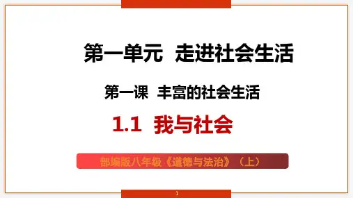 1.1 我与社会 课件(19张PPT)-2024-2025学年统编版道德与法治八年级上册