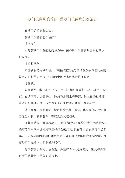 沙门氏菌狗狗治疗-猫沙门氏菌病怎么治疗