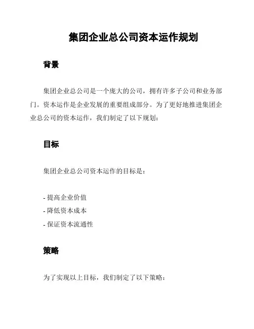 集团企业总公司资本运作规划