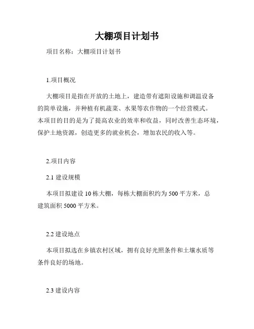 大棚项目计划书
