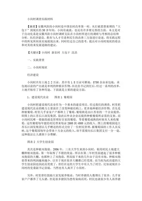 最新小岗村调查实践材料