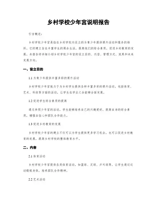 乡村学校少年宫说明报告
