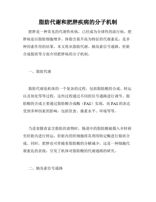 脂肪代谢和肥胖疾病的分子机制