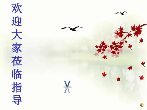 《谈生命》教学PPT课件