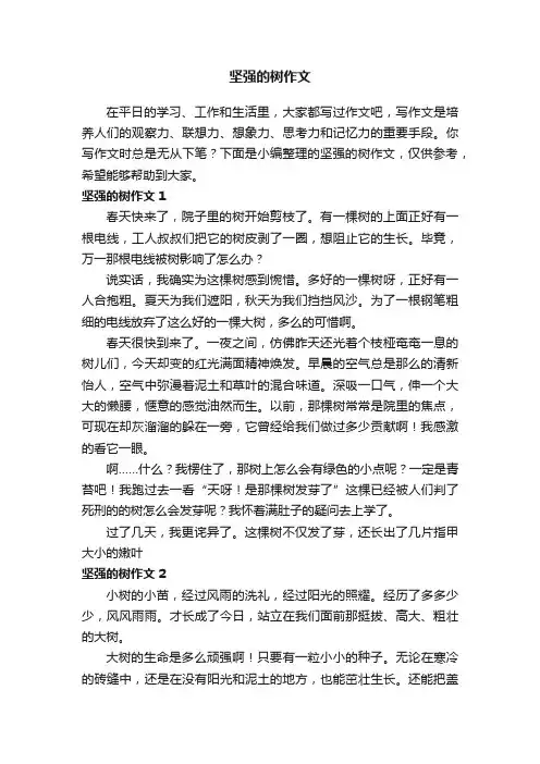 坚强的树作文6篇