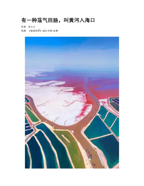 有一种荡气回肠，叫黄河入海口