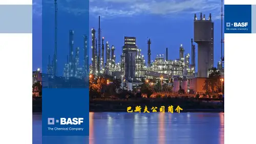 Basf简介