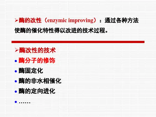 酶分子修饰精选