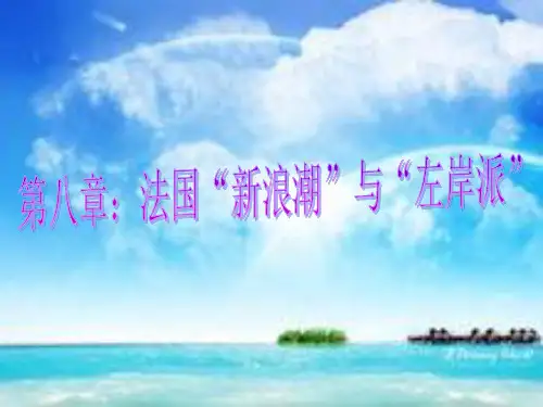 第八章：法国“新浪潮”与“左岸派”