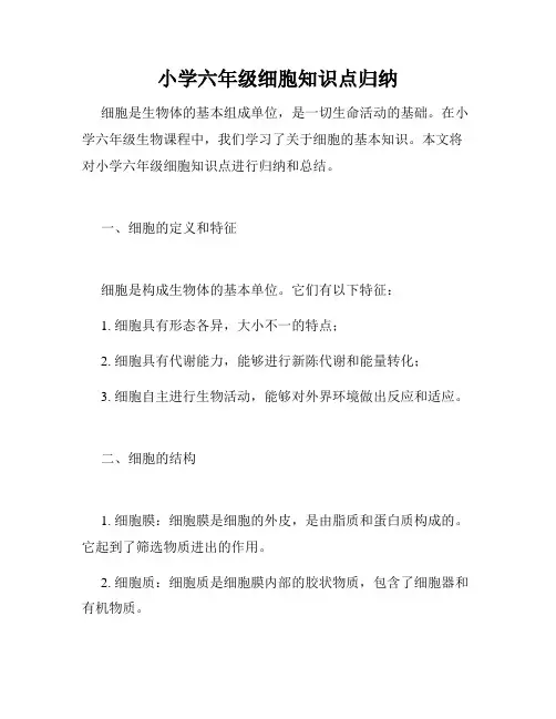 小学六年级细胞知识点归纳