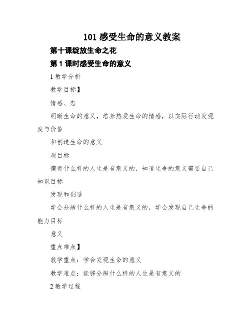 101感受生命的意义教案