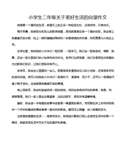 小学生二年级关于美好生活的向望作文