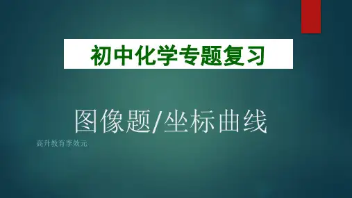 初中化学专题复习图像题、坐标曲线专题 32张PPT