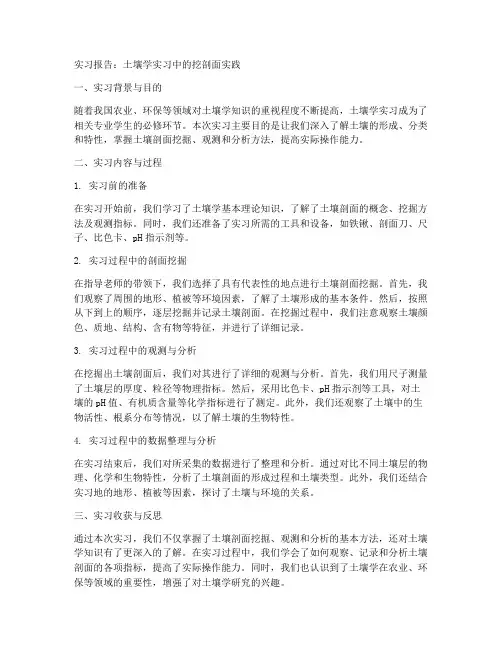 土壤学实习报告挖剖面
