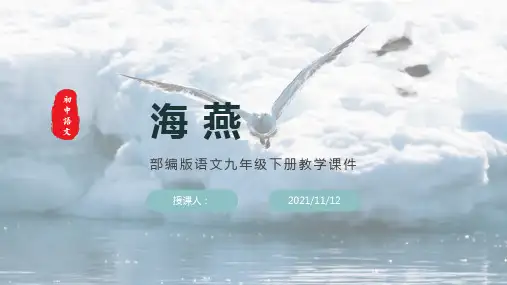部编版语文九年级下册《海燕》教学课件(含同步教案和习题)