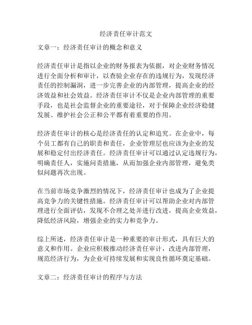 经济责任审计范文