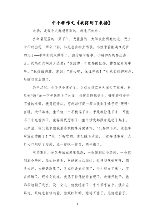 中小学作文《我得到了表扬》