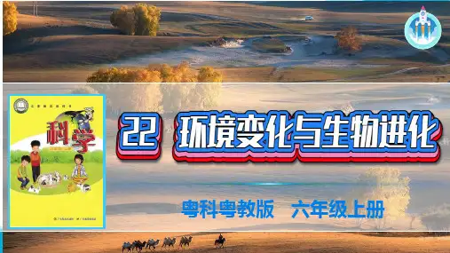 粤科粤教版科学六年级上册22环境变化与生物进化