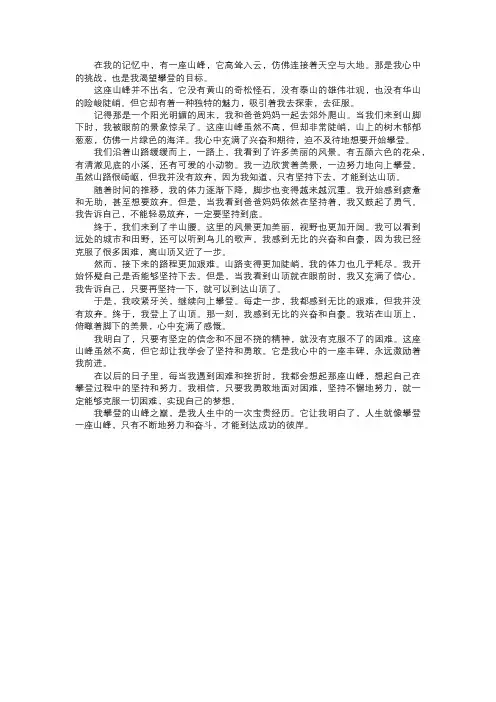 我攀登的山峰之巅