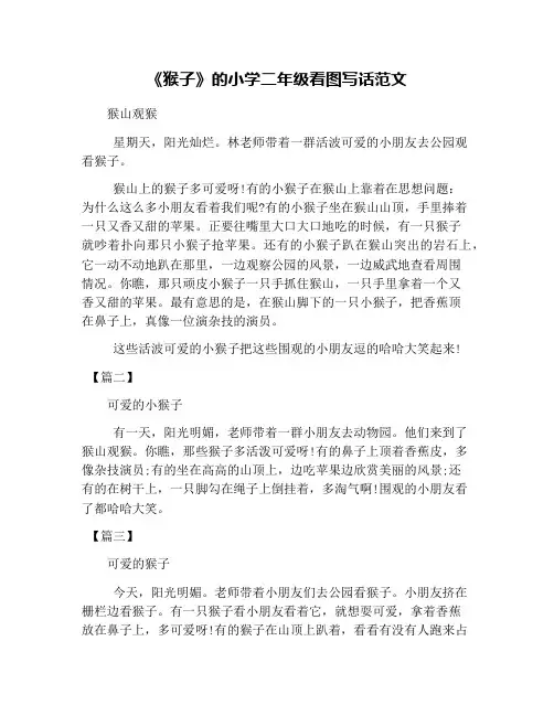 《猴子》的小学二年级看图写话范文