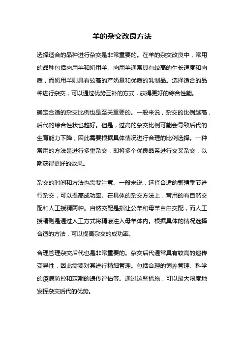 羊的杂交改良方法