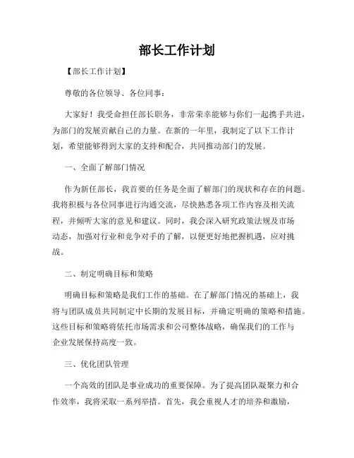 部长工作计划