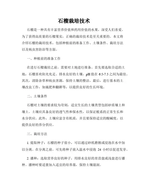 石榴栽培技术