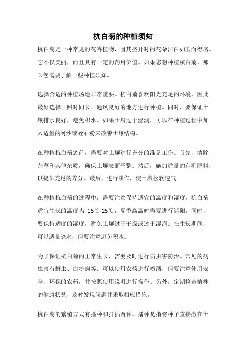 杭白菊的种植须知