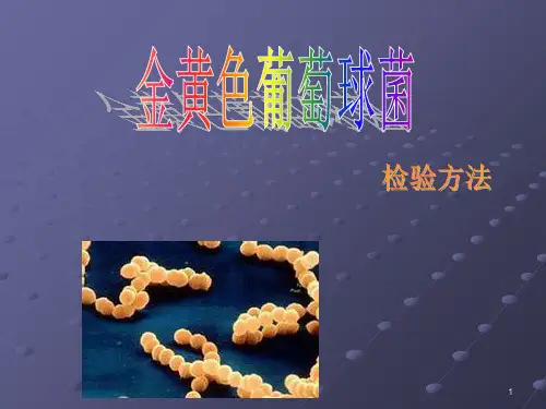 金黄色葡萄球菌检验方法ppt课件