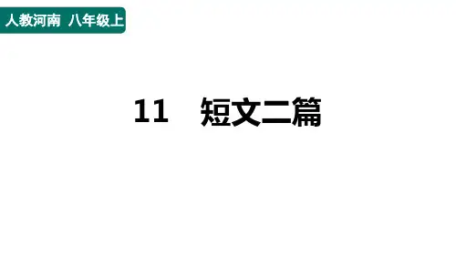 八年级语文上册11 短文二篇作业