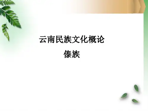 云南民族文化——傣族