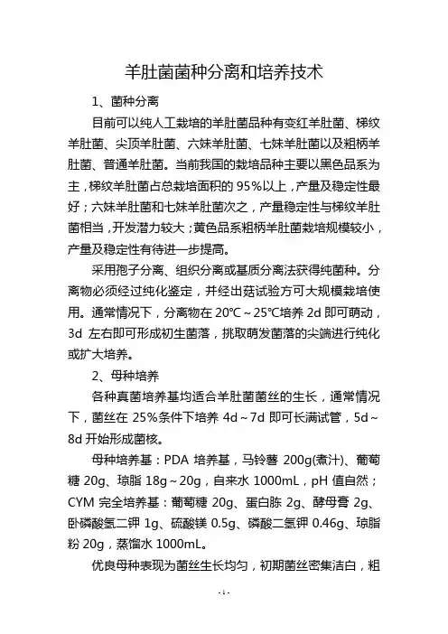 羊肚菌菌种分离和培养技术