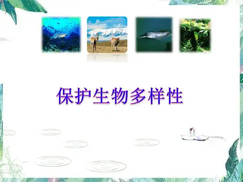 八年级下册 保护生物 多样性 公开课课件