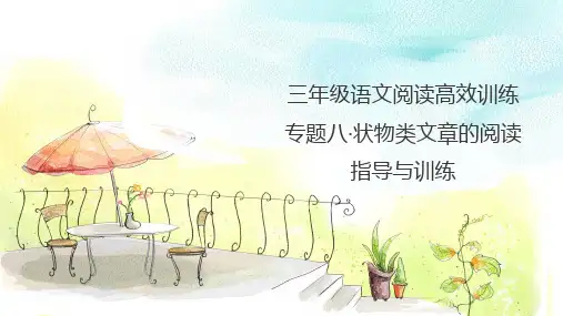 三年级语文阅读高效训练 专题八 状物类文章的阅读指导与训练 课件 人教统编版